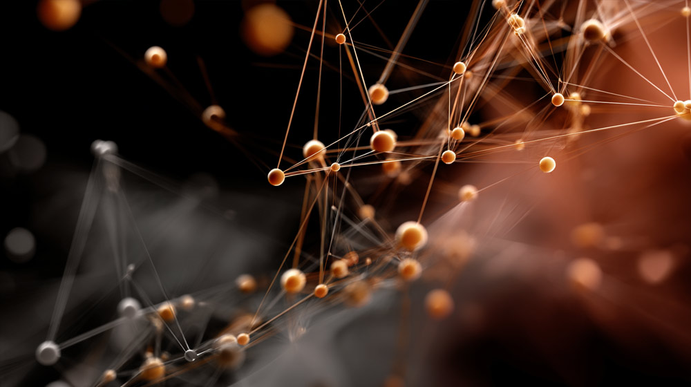 Netlinking Off-Page SEO